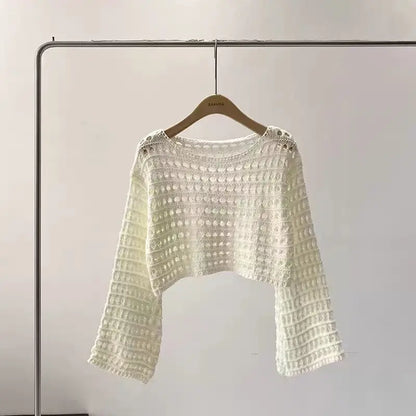 Long Sleeve Crochet Knit Top