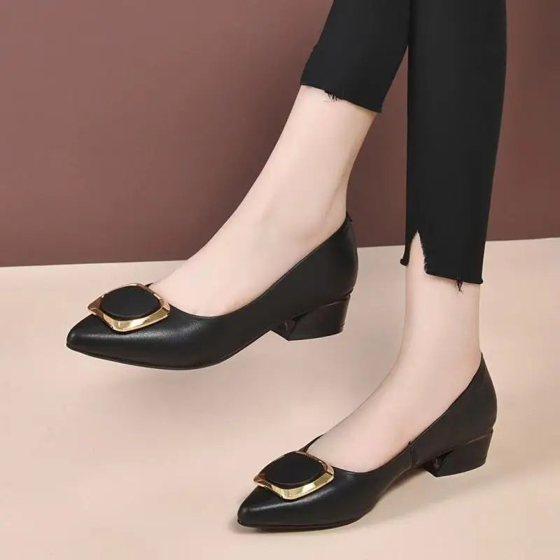 Women's Pointed-Toe Chunky Heel Pumps,